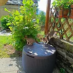 Ferienhaus Rifugio Futopia - Alpi Graie *