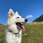 Rifugio Futopia - Alpi Graie Viù