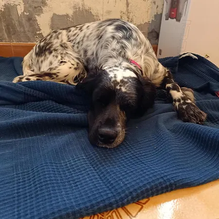 بيت للعطل Futopia - Sostenibile, Relax, Natura