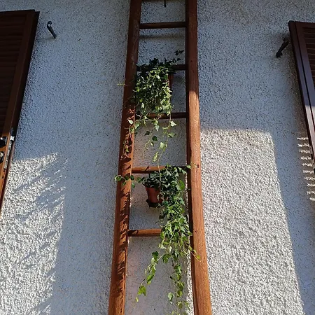 Futopia - Sostenibile, Relax, Natura Viù