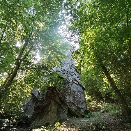 Futopia - Sostenibile, Relax, Natura * Viù