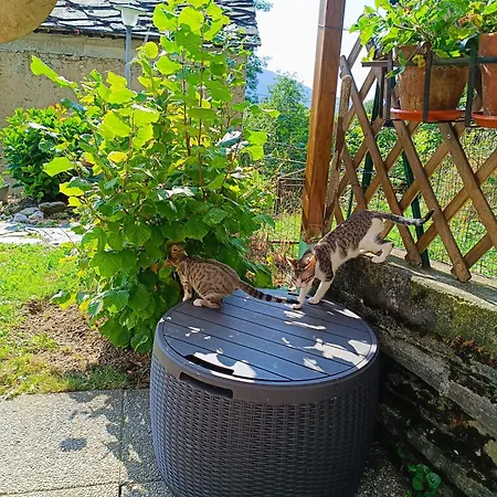 بيت للعطل Futopia - Sostenibile, Relax, Natura *