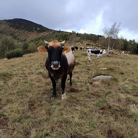 Rifugio Futopia - Alpi Graie Feriehus