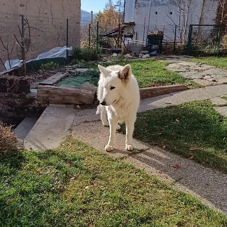 Futopia - Sostenibile, Relax, Natura Viù