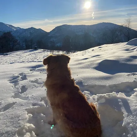 Tatil Evi Futopia - Sostenibile, Relax, Natura