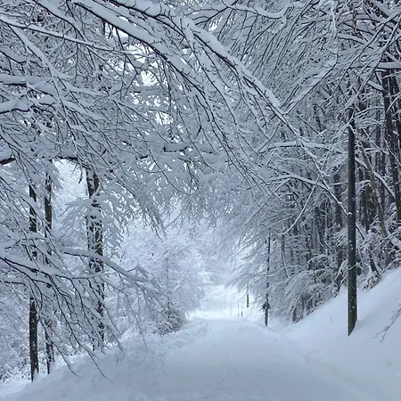 Tatil Evi Futopia - Sostenibile, Relax, Natura Viù