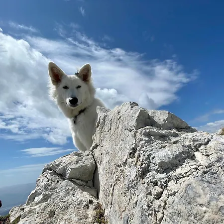 Rifugio Futopia - Alpi Graie Viù