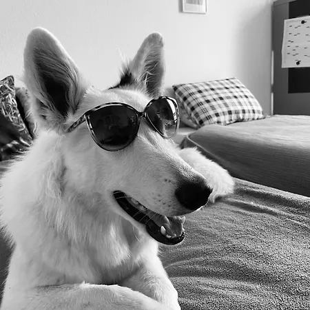 Tatil Evi Futopia - Sostenibile, Relax, Natura *