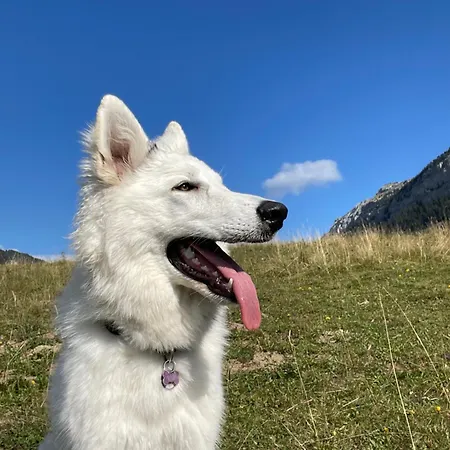 Futopia - Sostenibile, Relax, Natura Viù