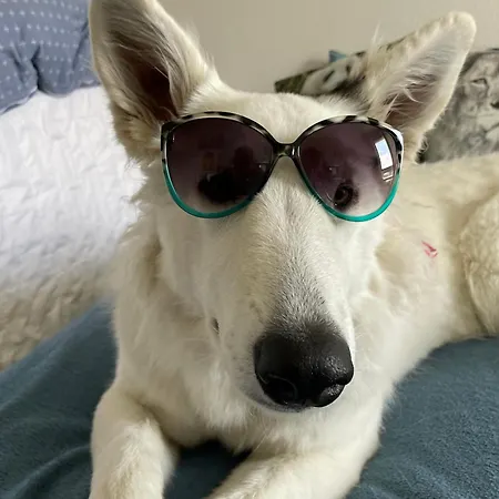 Rifugio Futopia - Alpi Graie Viù