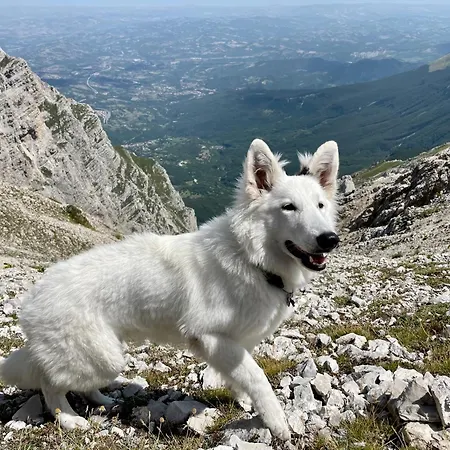 Vakantiehuis Rifugio Futopia - Alpi Graie *