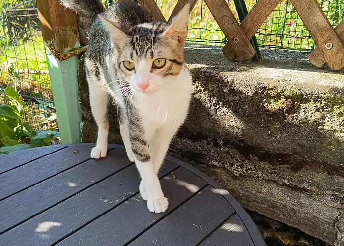 Ferienhaus Futopia - Sostenibile, Relax, Natura