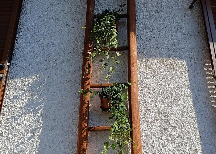 Futopia - Sostenibile, Relax, Natura Viù