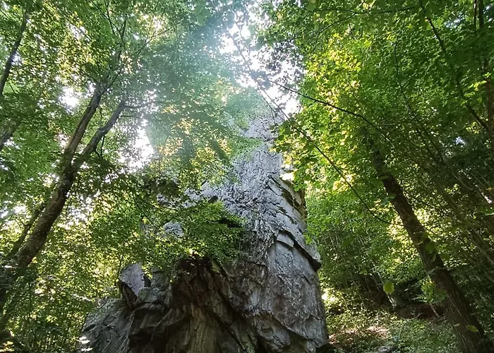 Futopia - Sostenibile, Relax, Natura * Viù