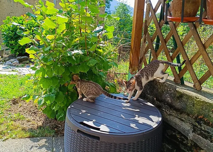 Ferienhaus Futopia - Sostenibile, Relax, Natura *