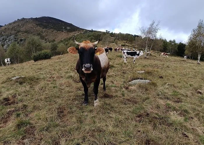 Rifugio Futopia - Alpi Graie Vakantiehuis