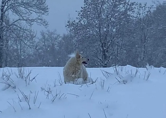 Futopia - Sostenibile, Relax, Natura *