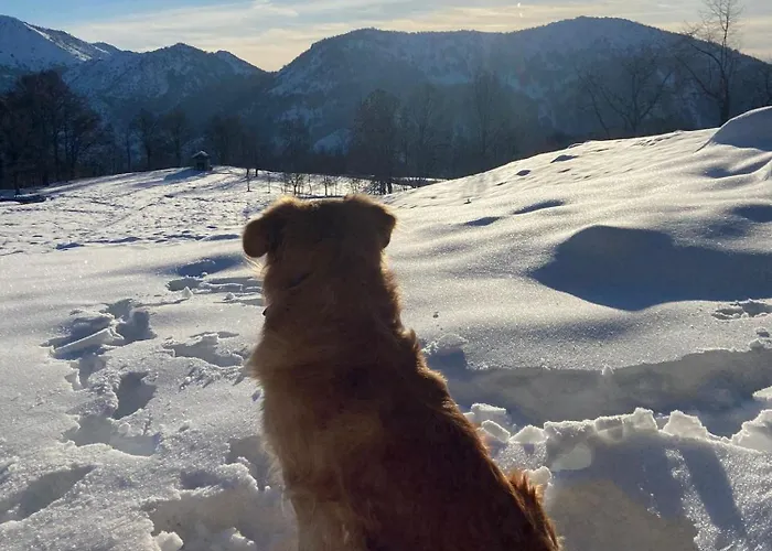 Ferienhaus Futopia - Sostenibile, Relax, Natura