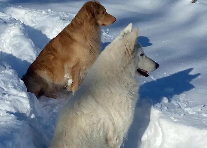 Futopia - Sostenibile, Relax, Natura Ferienhaus Viù