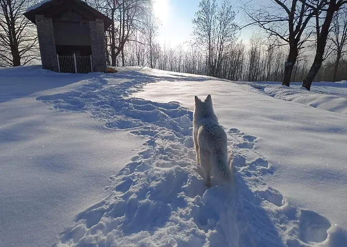 Ferienhaus Futopia - Sostenibile, Relax, Natura