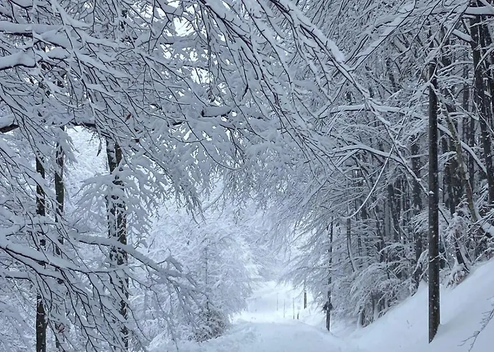 Ferienhaus Futopia - Sostenibile, Relax, Natura Viù