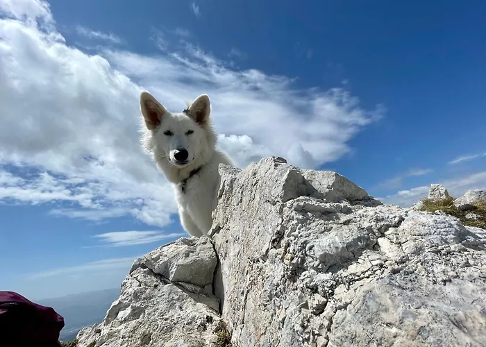 Rifugio Futopia - Alpi Graie Viù