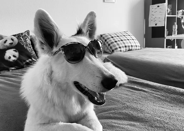 Ferienhaus Futopia - Sostenibile, Relax, Natura *