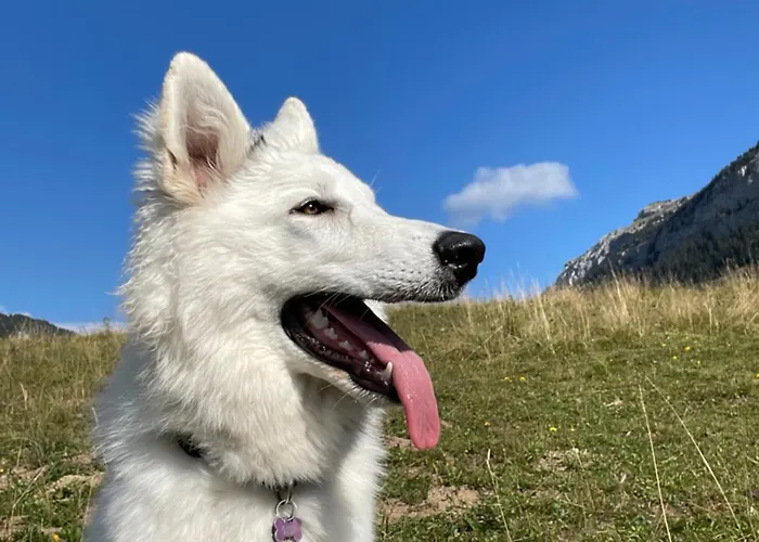 Futopia - Sostenibile, Relax, Natura Viù