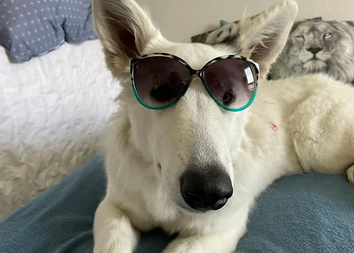 Futopia - Sostenibile, Relax, Natura Viù