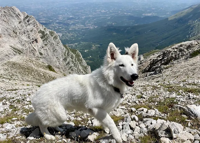 Сasa de vacaciones Rifugio Futopia - Alpi Graie *